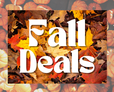 Fall Deals - The Essentials for a cozy September